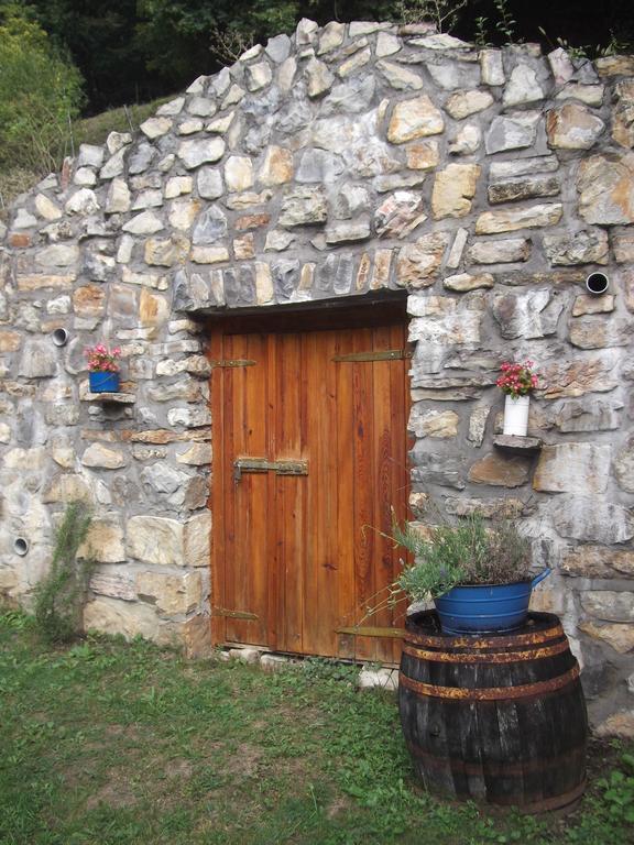 Tulipanos Vendeghaz Daire Obanya Dış mekan fotoğraf