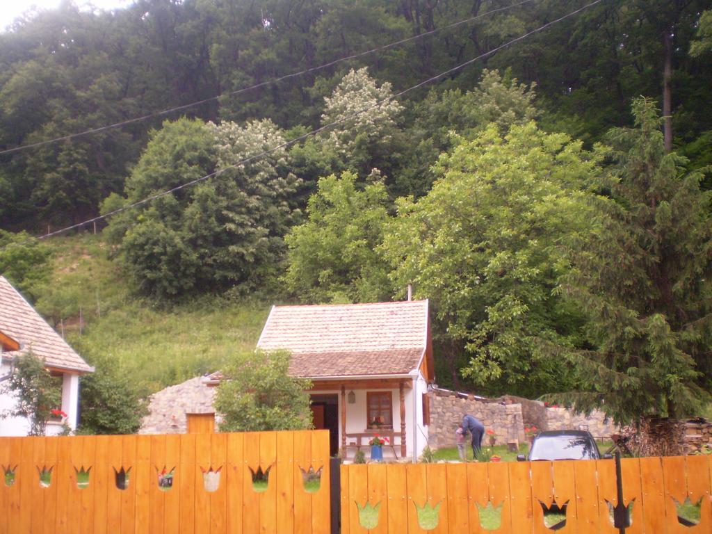 Tulipanos Vendeghaz Daire Obanya Dış mekan fotoğraf