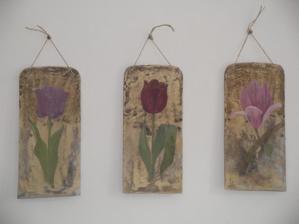 Tulipanos Vendeghaz Daire Obanya Dış mekan fotoğraf